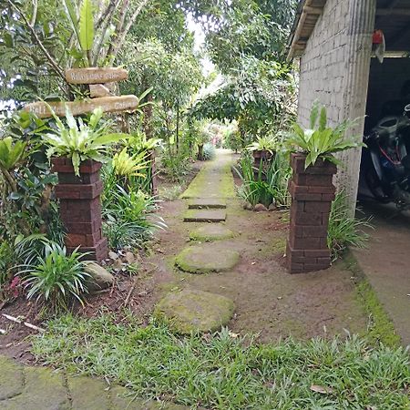 Bali Mountain Forest Cabin Penebel ภายนอก รูปภาพ
