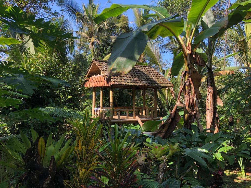 Bali Mountain Forest Cabin Penebel ภายนอก รูปภาพ