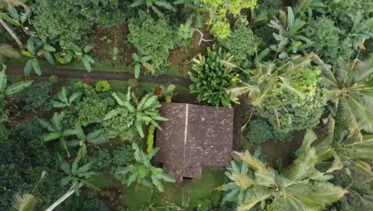 Bali Mountain Forest Cabin Penebel ห้อง รูปภาพ