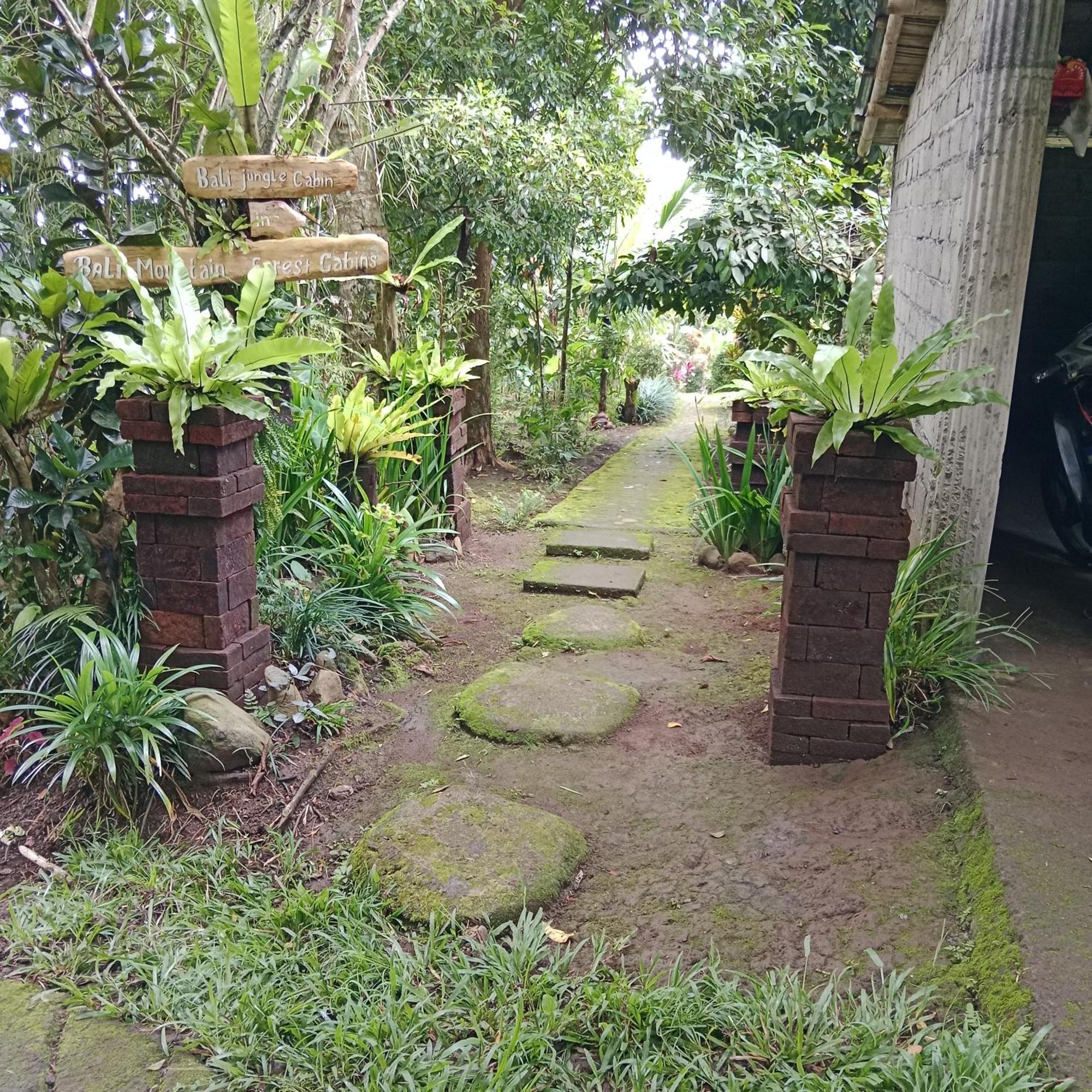 Bali Mountain Forest Cabin Penebel ห้อง รูปภาพ