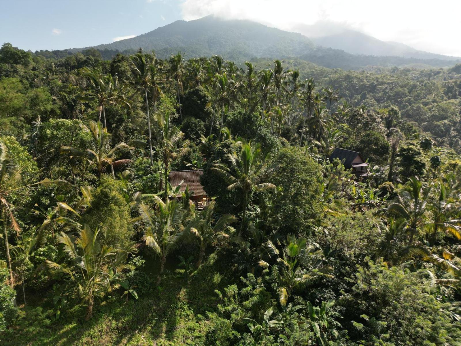 Bali Mountain Forest Cabin Penebel ห้อง รูปภาพ