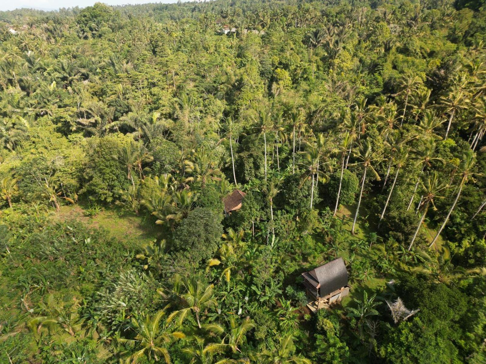 Bali Mountain Forest Cabin Penebel ห้อง รูปภาพ