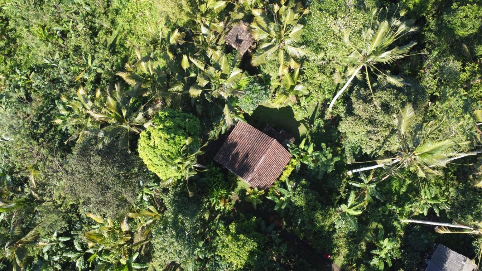 Bali Mountain Forest Cabin Penebel ห้อง รูปภาพ