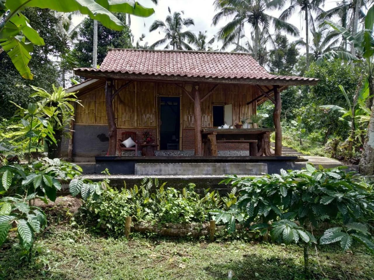 Bali Mountain Forest Cabin Penebel ภายนอก รูปภาพ