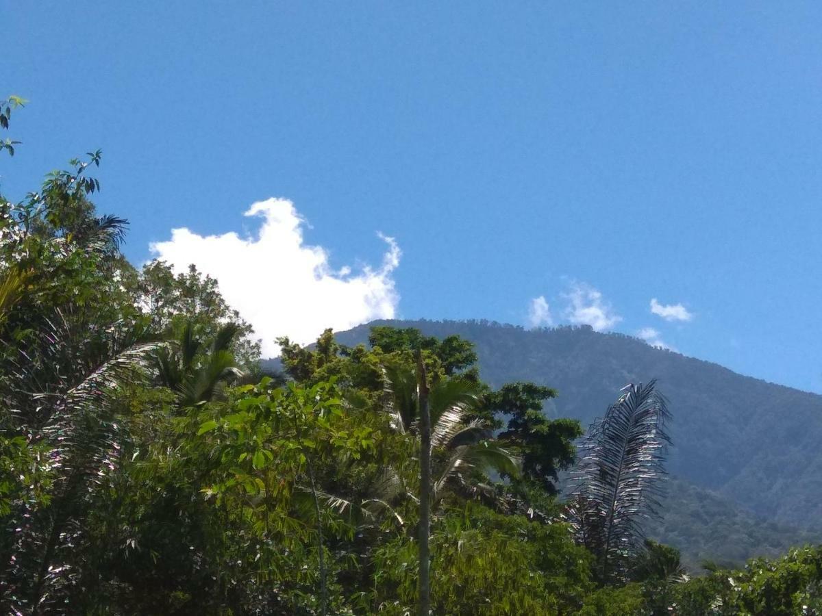 Bali Mountain Forest Cabin Penebel ภายนอก รูปภาพ