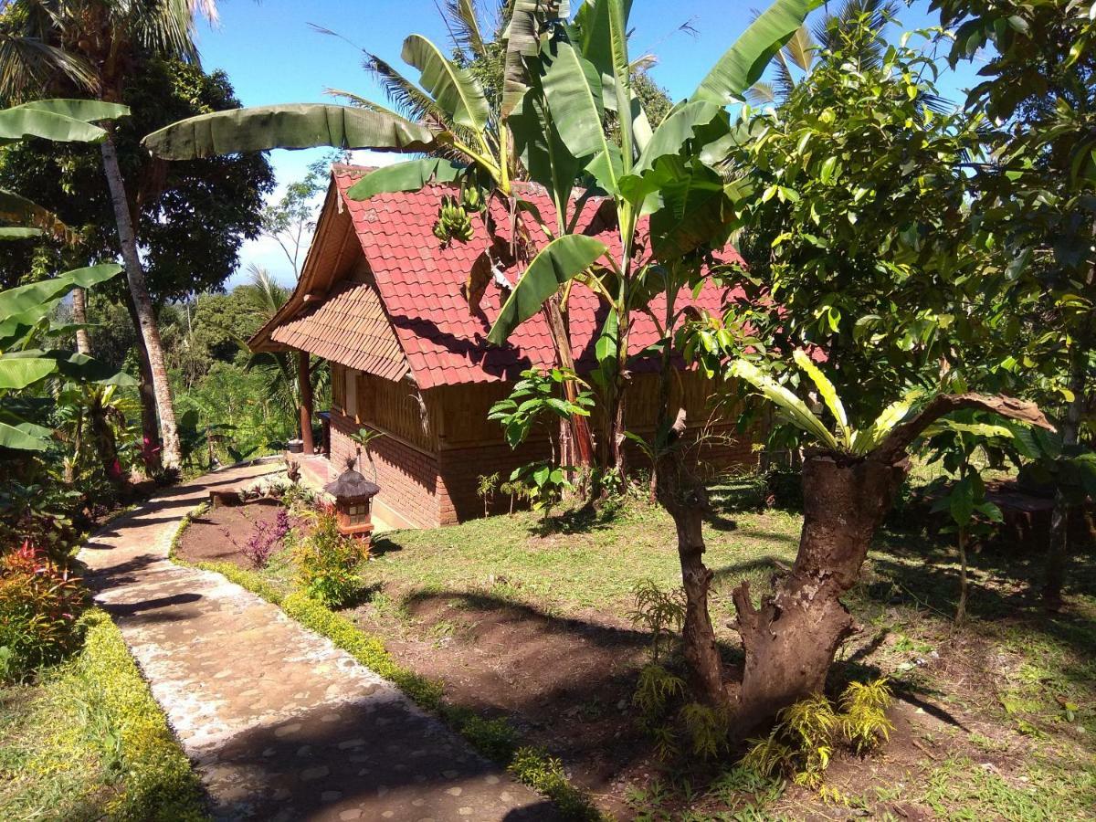 Bali Mountain Forest Cabin Penebel ภายนอก รูปภาพ