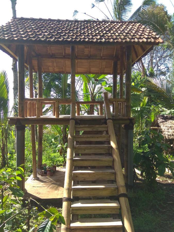 Bali Mountain Forest Cabin Penebel ห้อง รูปภาพ